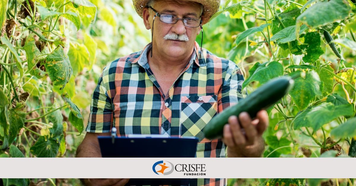 Sistema Financiero Popular y Solidario