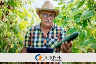 Sistema Financiero Popular y Solidario