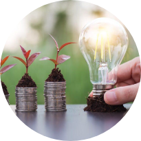 Relación tiene el cambio climático con mi cartera